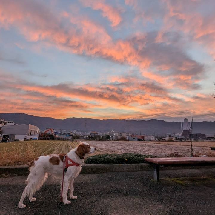 2d12b2c9 d349 4b94 922b 4b7a8514a802 1671579646198