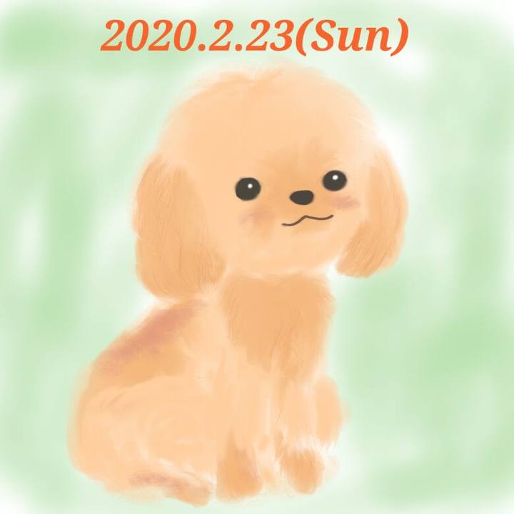 2d12dd2c 7e02 48fc 9d07 4b2562c274a4 1582419370203