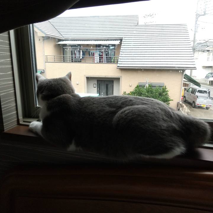 2d12f0d2 81ad 465f 8aeb 85e7f46085f6 1602456125459