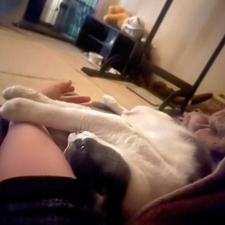 2d12f161 7878 4698 87f1 bcc9daa77ea0 1669763920849