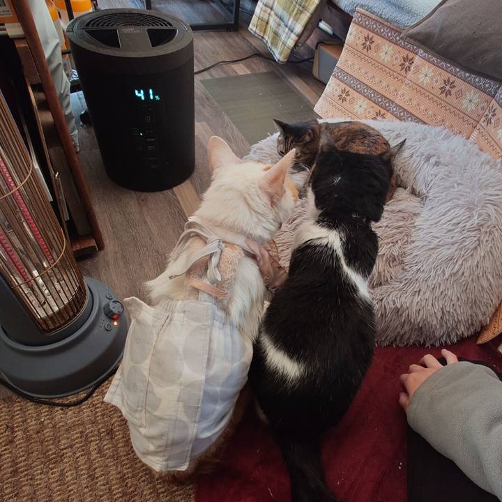 2d1313f2 8824 41e0 9397 d30a1fc47bc3 1765197792841