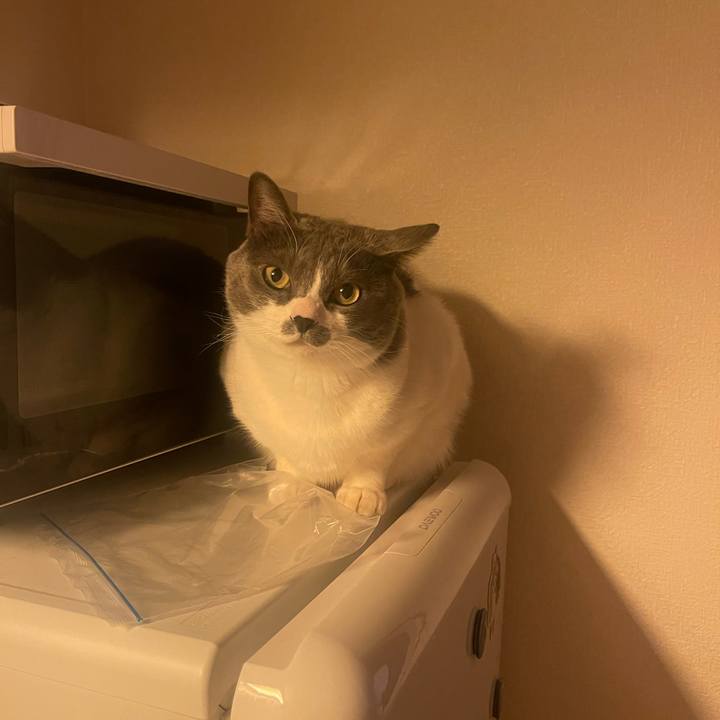 2d131a86 adaf 446f bd39 89036c8c4c54 1705575934016