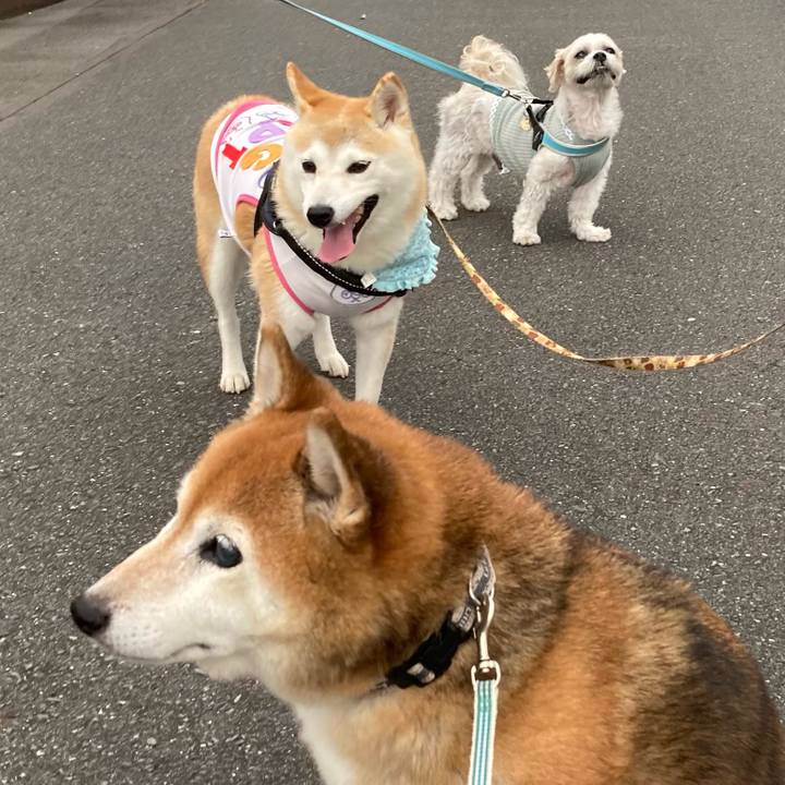 2d132f2f 8976 4f76 83e1 1457836e7ccf 1720607990935