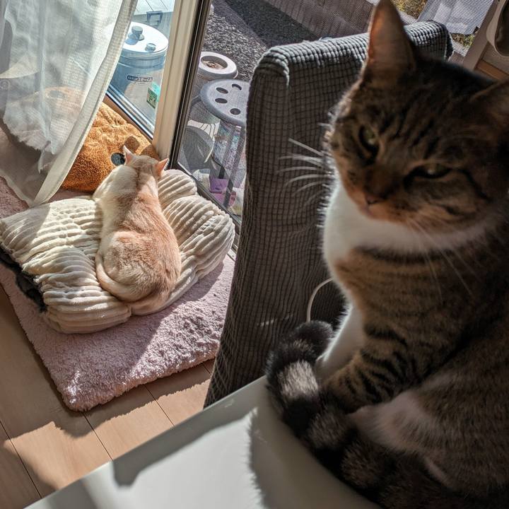 2d133057 ca54 4acd 9a0f 5de6b3d1132f 1697673086990