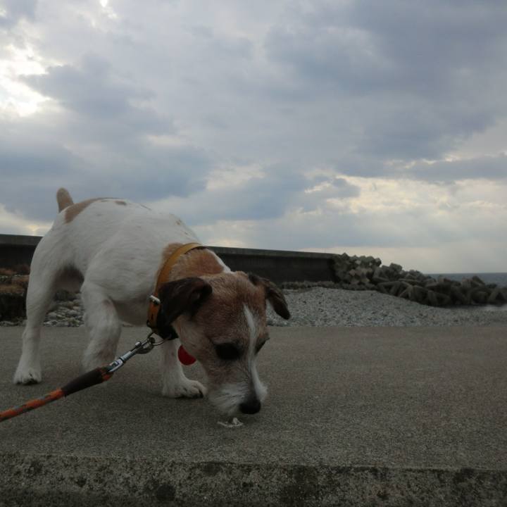 2d137ead f000 4906 b717 2a245a0705b9 1510126861111