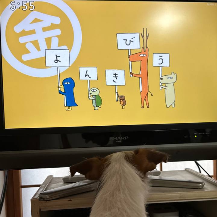 2d1382b7 a165 4c3e a3d3 f226301ce748 1766096237805