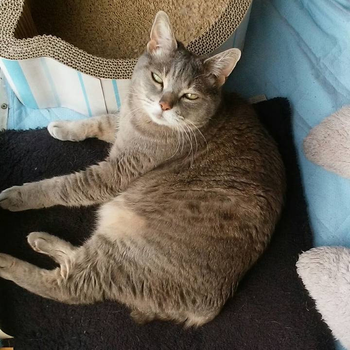 2d1385a5 0d65 4401 98eb cafe686fafad 1557882285589