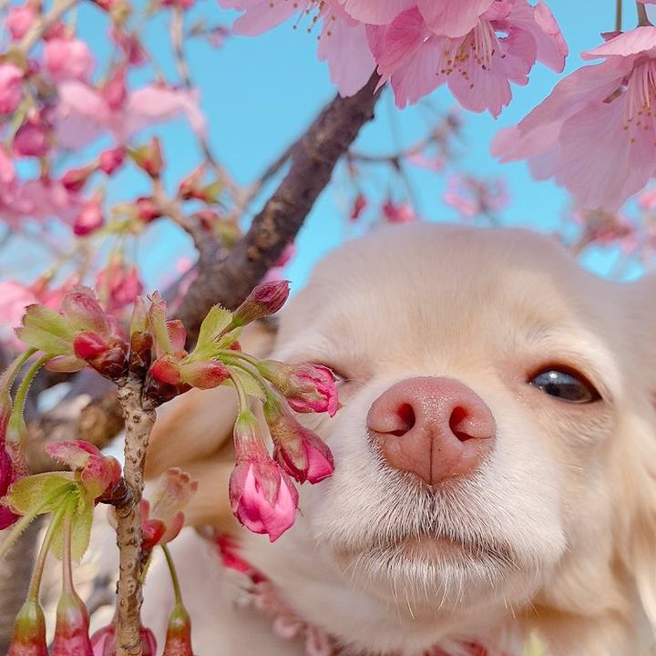 2d13c422 50bb 4929 aa64 e15a6b505572 1616057629785