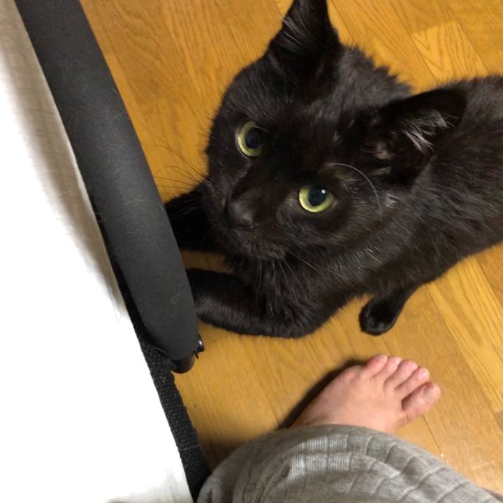 2d13def3 fa8d 4867 a21f d46a0f92b6da 1599404278506