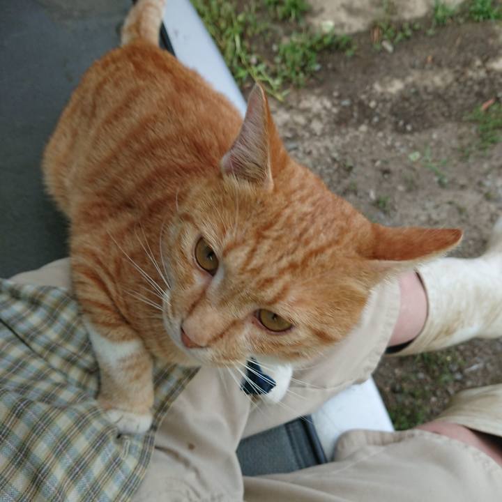 2d13e2c2 ac4a 4b81 997f fa9d4134dfb7 1566721357151