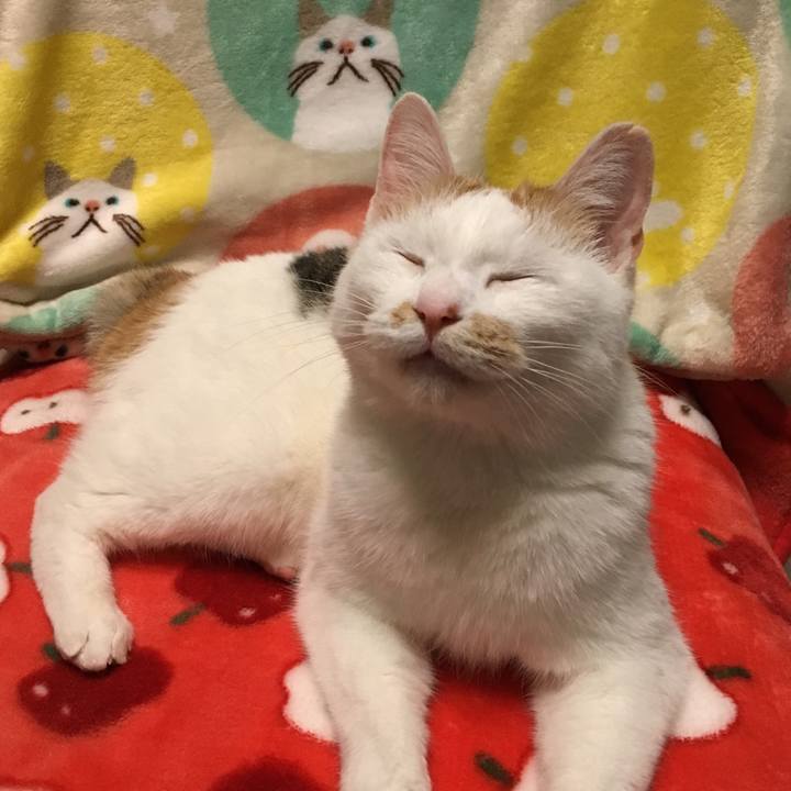 2d13e629 bfab 449a 9041 f832843301e5 1516017735774