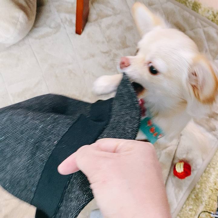 2d13f6dc 5994 409d 8730 65f26bc6c085 1610248053243