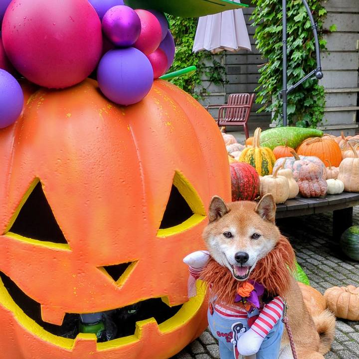 2d141b0c 5de0 4aae a7d4 ba286a3a9e21 1759720480844