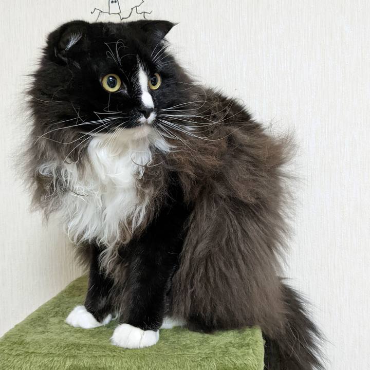 2d145587 1d84 4704 bc4b 638001b3d9f7 1667039232418