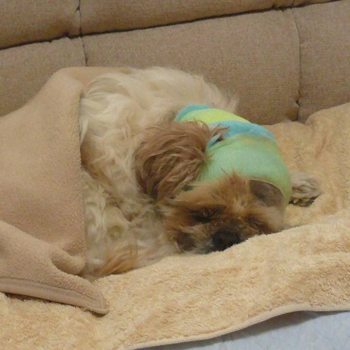 2d14571a e5a0 4871 80e7 e9405620ff02 1517971014579