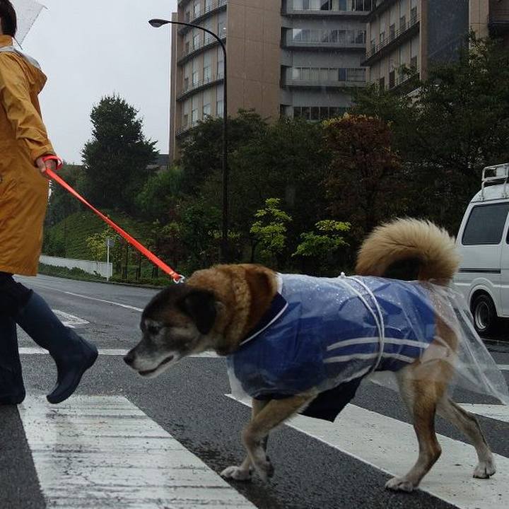 2d147f24 adc2 4995 8631 b23f11f12aca 1508646907198