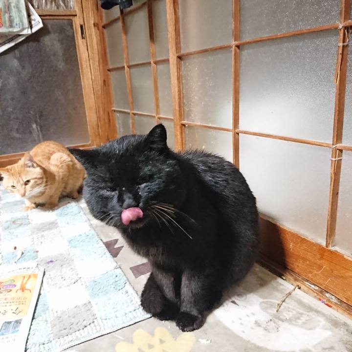 2d14c637 1068 4654 be58 2554cdae75d2 1648121900318