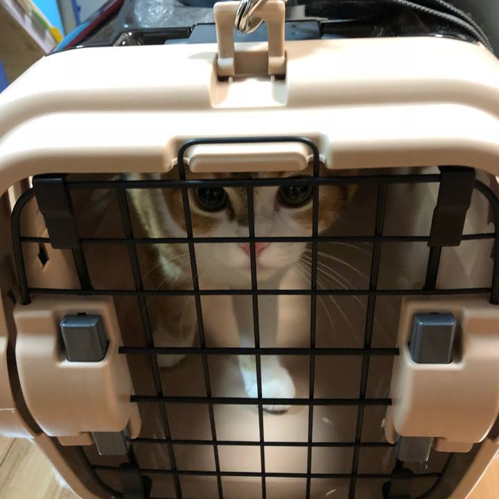 2d14c7f8 0440 45b7 bd6e 2aa00246c62b 1513774662170