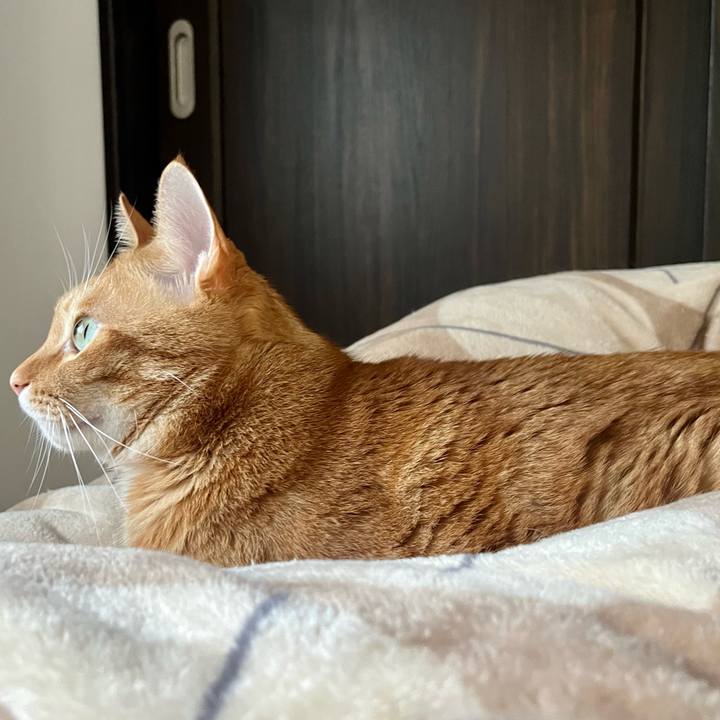 2d14ee42 9870 4e3f a198 8dafc83d6574 1668639324891