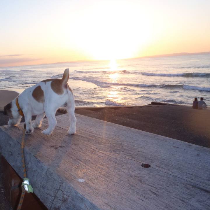 2d150cc7 f64a 4830 b46b f6112c2c4bc8 1539090176760