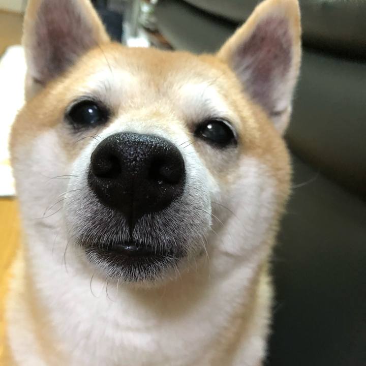 2d1513ec 4de3 43e8 b8bc 15af6ca26eb4 1568197813498