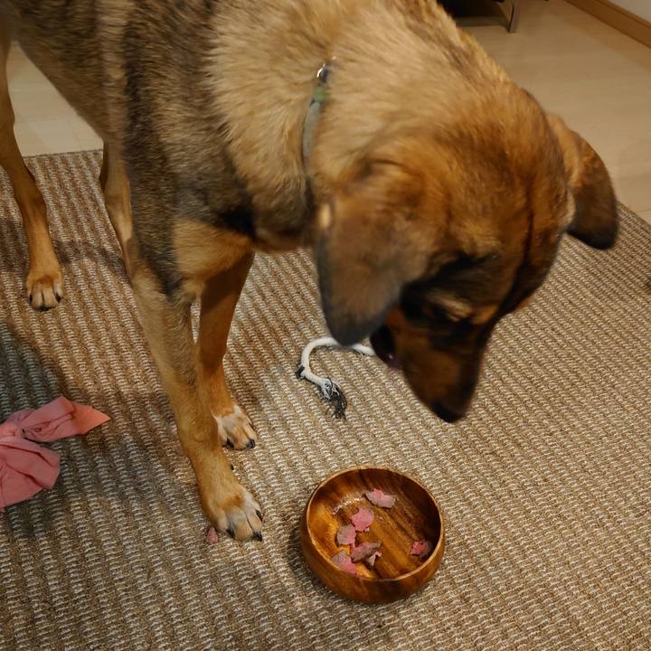 2d1518f2 e827 4a58 bdff 174b05cef7db 1704113641462