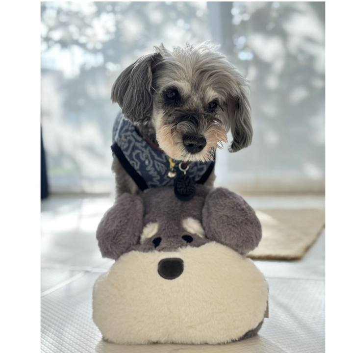 2d156cfa e4ac 428b a219 b533a1014aeb 1762501989404