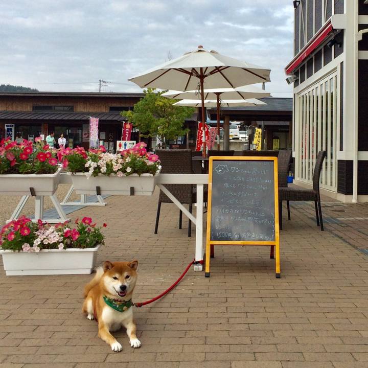 2d1588ea 13e4 4ff3 90a2 32598a0ae301 1507969594652