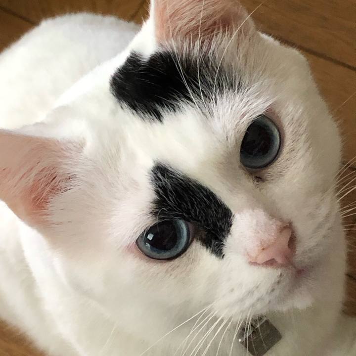 2d159523 84a4 4484 ab86 9b76d9310ddb 1763179314849