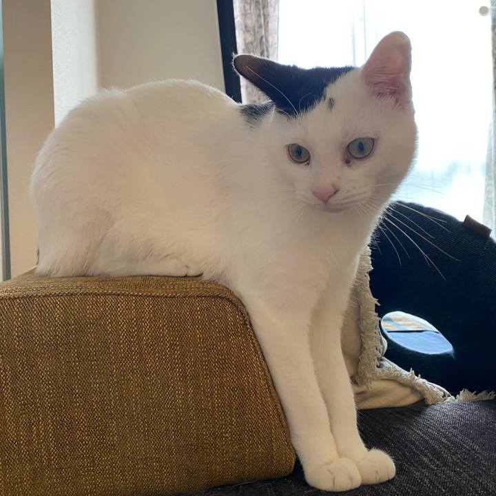 2d159766 707a 4908 95f3 497d5ea87b02 1680909154226