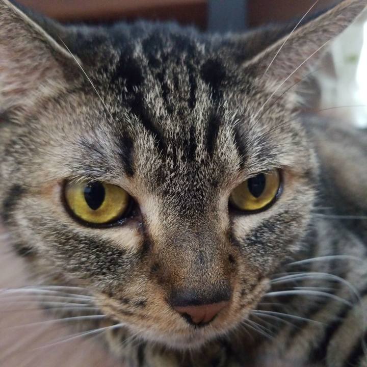 2d15c763 eae9 4ccb 8b4e d766e0a2d68c 1564174248524