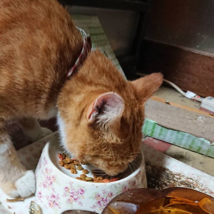 2d15c897 2929 4340 b63a ed0c61ff37e7 1567770949571