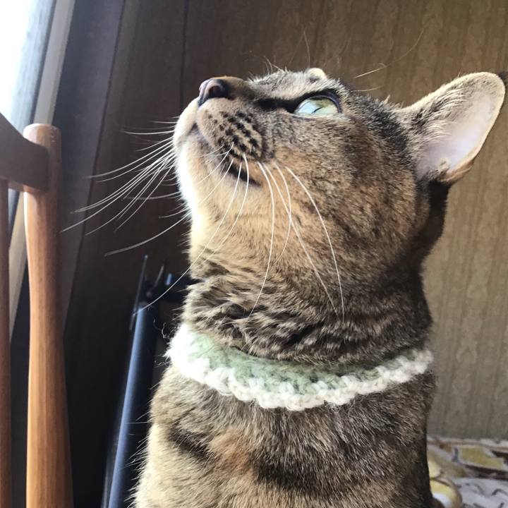 2d15f298 be92 41ce aa74 b0cfbc3659cb 1649496463488