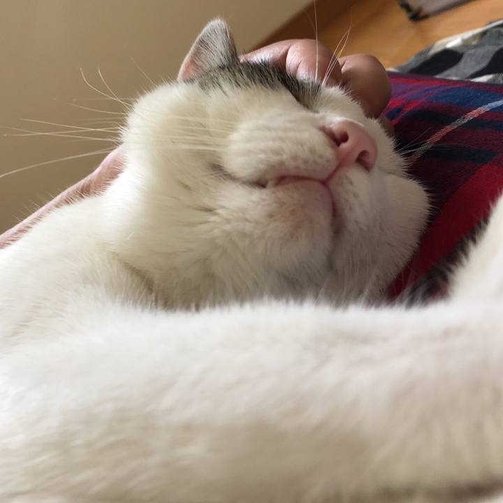 2d15f34f a369 43ce a3b2 955997bcbf3e 1629588849602