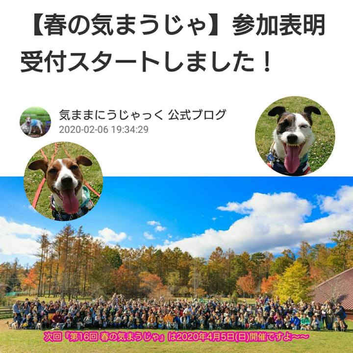 2d162ebc d754 4e0c b8db 22aa3a200f69 1581330975910