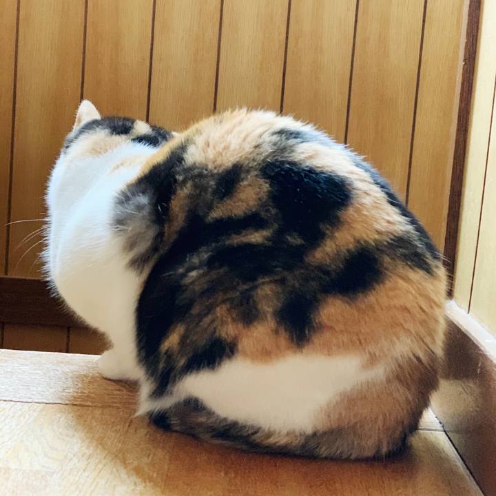 2d167636 f4da 4801 89a6 0d5416afb449 1554691805160