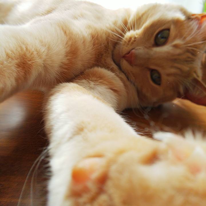 2d167673 f391 42ee b9b6 5f68c95c8675 1585441470849