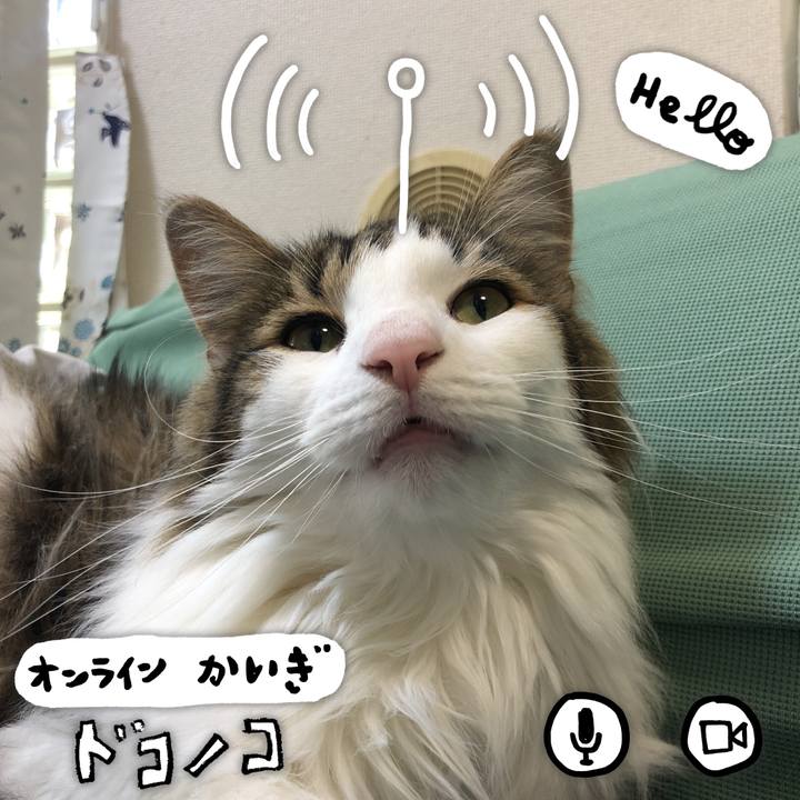 2d167701 4dbb 44c0 9d92 dbbb421f8d03 1590726134783