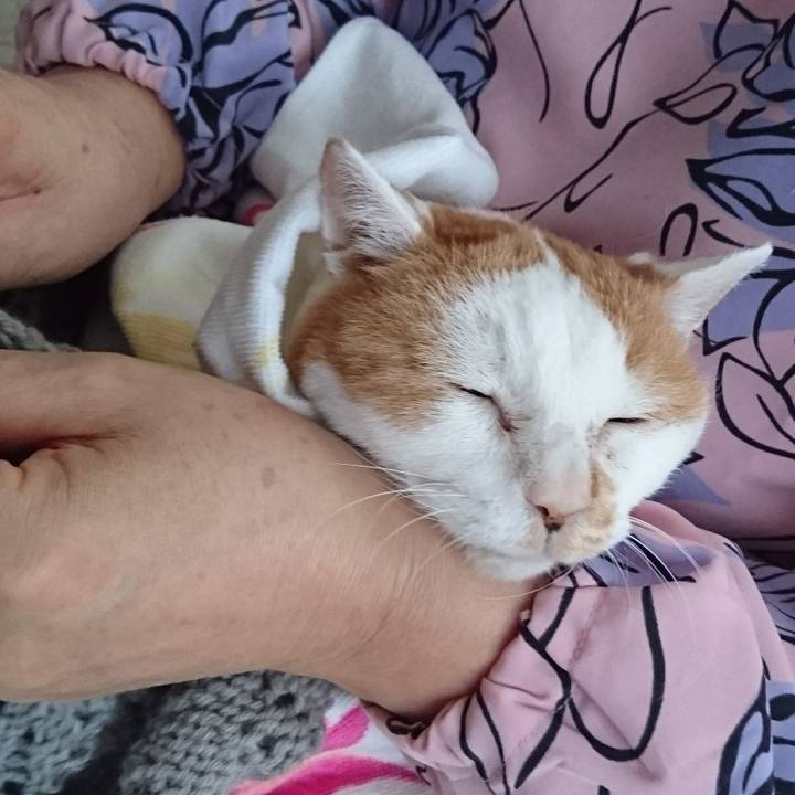 2d16ce2a 25e0 4ea9 b8e2 e53acac63a2d 1515046617550