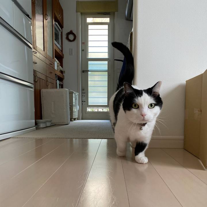 2d1714b7 d26f 4d31 855f 677b39af6d97 1774658246613