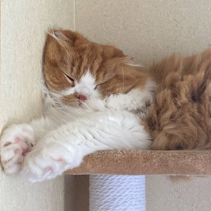 2d172d3f f13c 43fc 9313 62ae2c3cf550 1631945397427