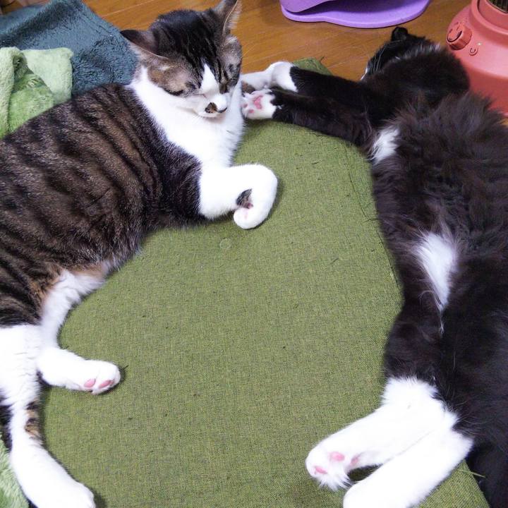 2d174df2 517f 40e0 96df 9f8f0fc67981 1644465526816