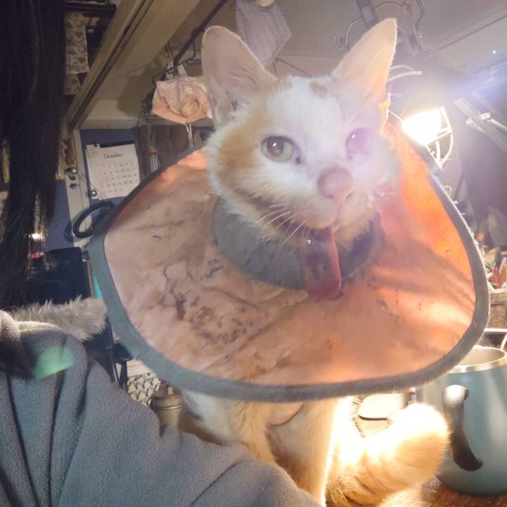 2d177da5 8a1b 49f6 94bd 5d8e02b89f78 1765457419953