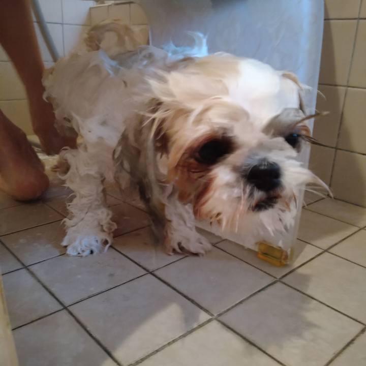 2d178db2 6e2a 4c5d 8de9 774e38ce512f 1610780928019