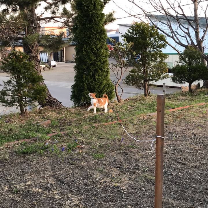 2d178f45 b671 470f 8dc5 11355b839fe1 1557057784498