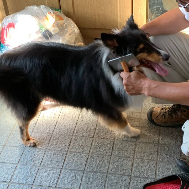 2d17aeb3 b320 433a 99a3 fc503375f01c 1599516179917