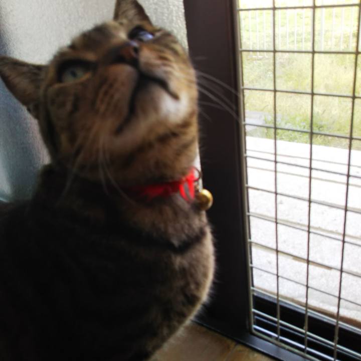 2d17d821 4b14 4aa4 bf7d 9faa109c6ff7 1586303783314