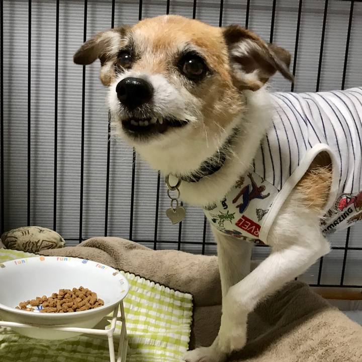 2d17e053 67b5 4100 977b 8a8c1376a97b 1593943203380