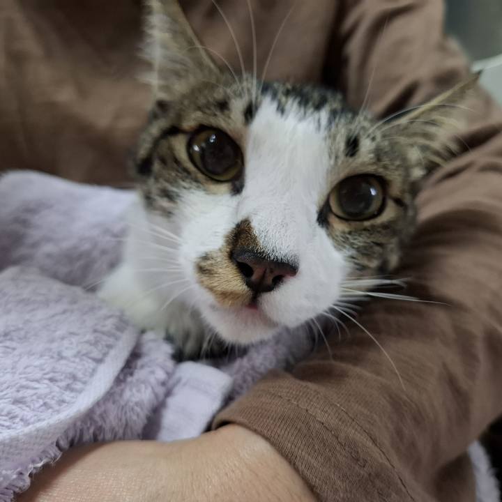 2d18099a c1ce 4a75 bc51 69a85dadc204 1766468783868