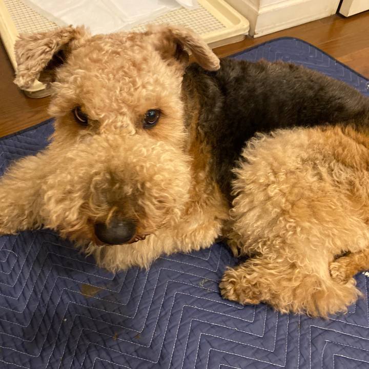 2d180f7f ab72 442d ab47 5b42a7676611 1579586357321